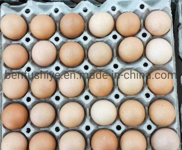 Cheap Automatic Egg Printing Machine Egg Washing Equipment Chicken Egg Grading Line