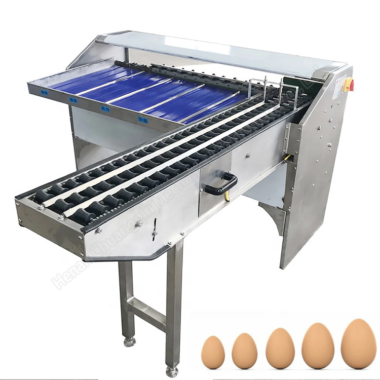 Egg Weight Grading Machine Sorting Egg Machine Eggs Grader Sorted Machine Machine to Sort Eggs Egg Sorting Machine Grader