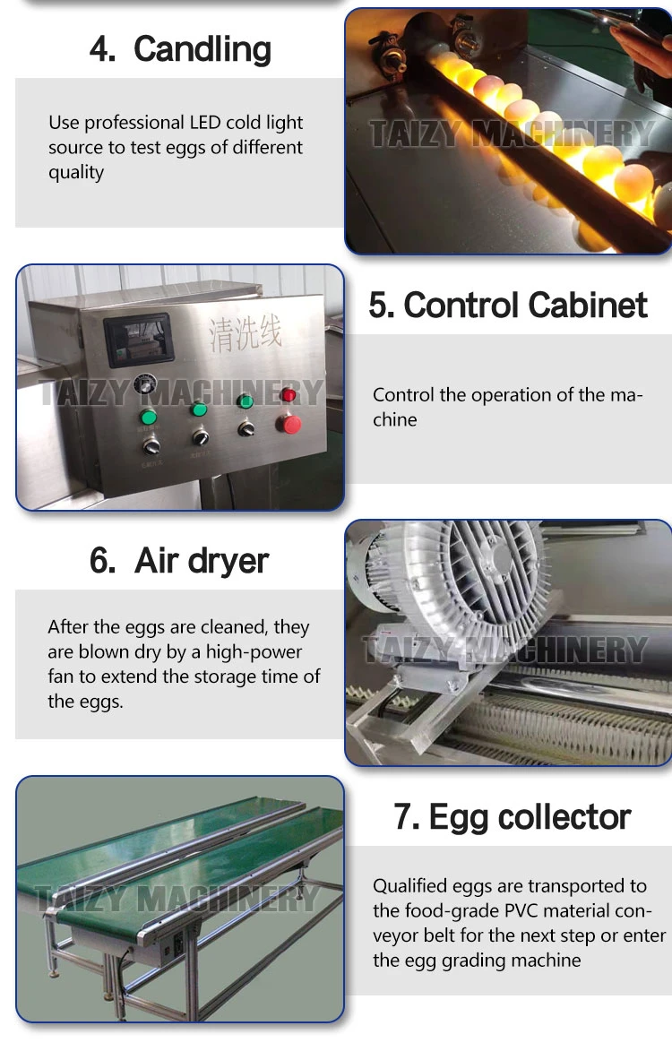 Stainless Steel Poultry Egg Washer Cleaner Hen Egg Cleaning Machine Chicken Egg Washing Machine