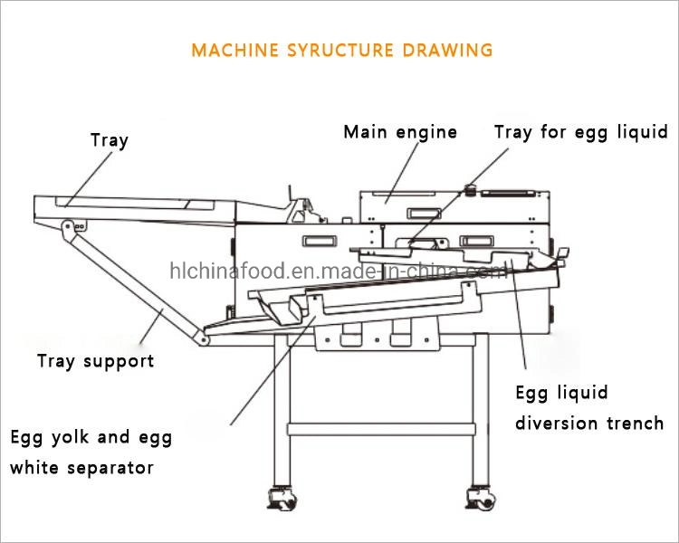 CE Approved Automatic Breaker Eggs Separate Egg White Yolk Processing Machine with High Quality