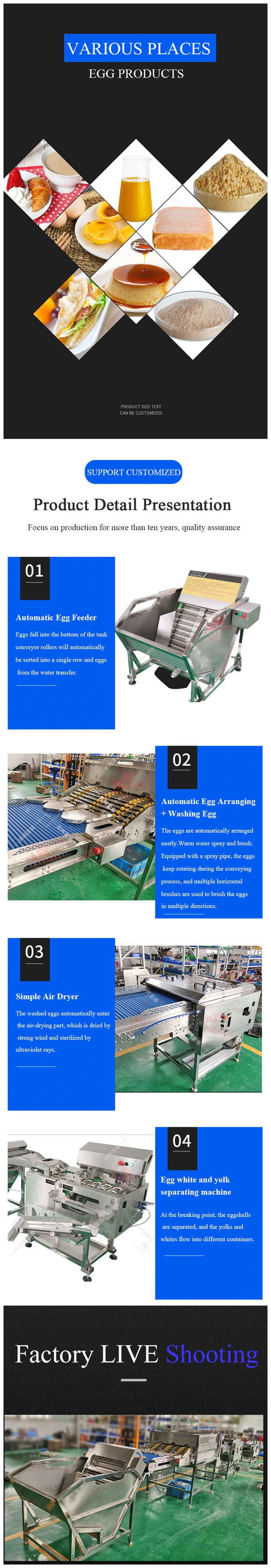 Automatic Oline Service Hot Sale Egg Yolk and White Separator