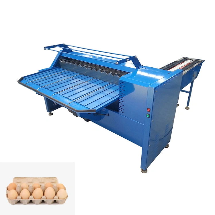 High Quality Egg Grader /Egg Sorting Machine / Egg Grading Machine