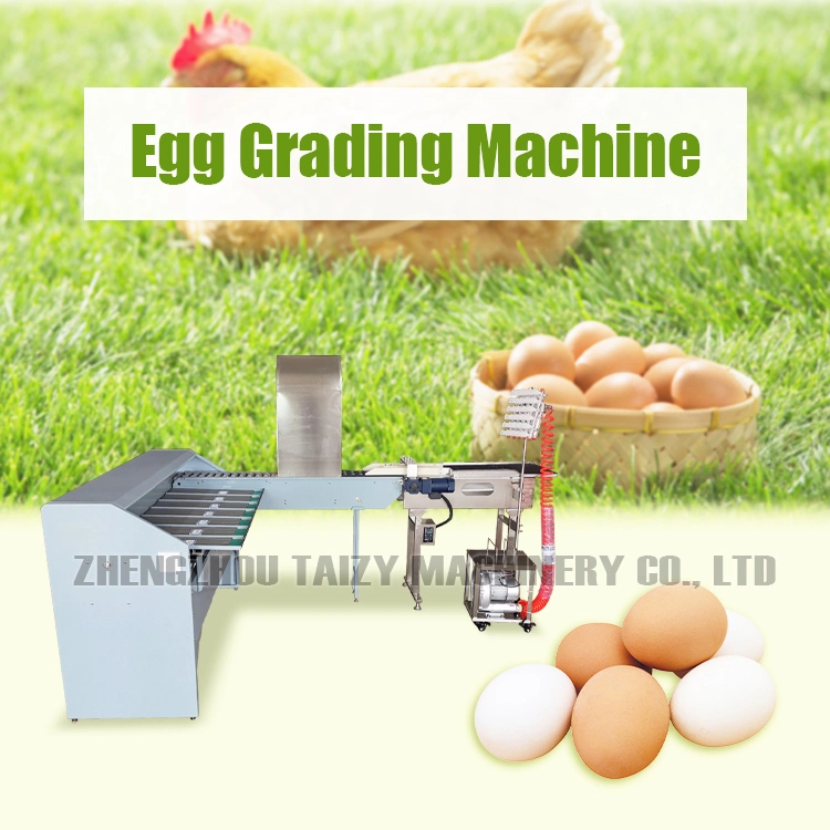 Automatic Egg Duck Egg Grading Cleaning Machine High Quality Egg Washer and Grader for Sale