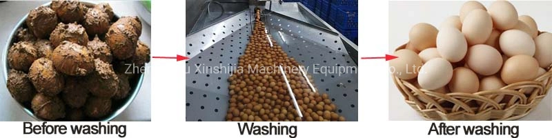 High Capacity Automatic Stainless Steel Commercial Poultry Chicken Goose Salted Duck Egg Cleaning System