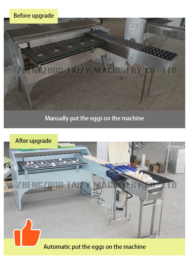Automatic Egg Duck Egg Grading Cleaning Machine High Quality Egg Washer and Grader for Sale