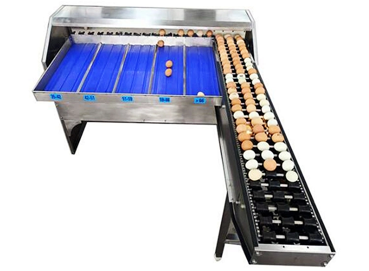 Automatic Egg Sorting Grading Machinery Chicken Egg Sorting Sorter Grader Weighing Machine