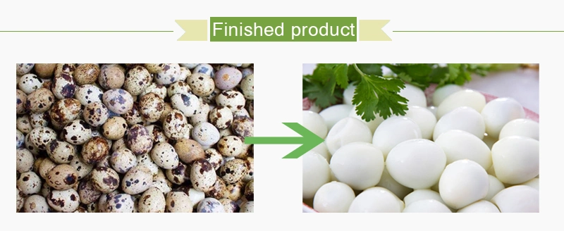 Durable Quail Egg Boiling and Peeling Production Line Automatic Quail Egg Production Line