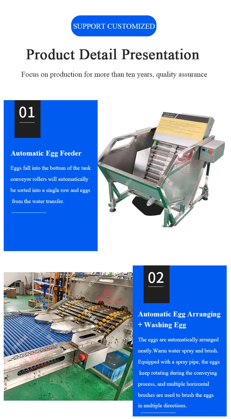 Divider York Separator Drying Machine Powder Automatic Liquid Processing Equipment Egg Yolk separator