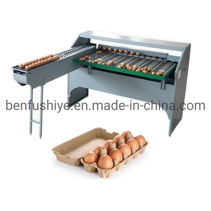 Cheap Automatic Egg Printing Machine Egg Washing Equipment Chicken Egg Grading Line