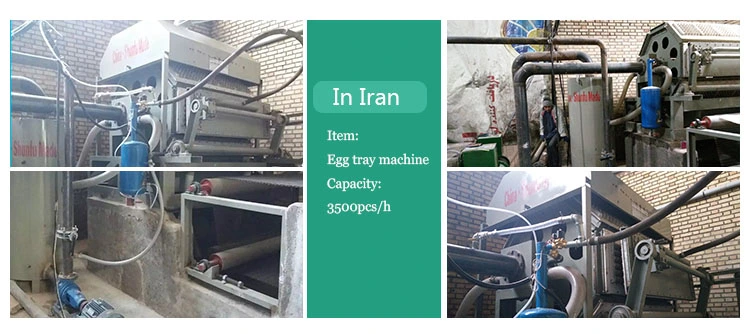 Capable to Produce 2500 Trays /Hour Line for Egg Tray Machine