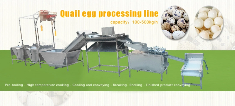 Large Scale Quail Egg Processing Line Boiled Quail Egg Peeler Line Quail Egg Boiling and Peeling Line