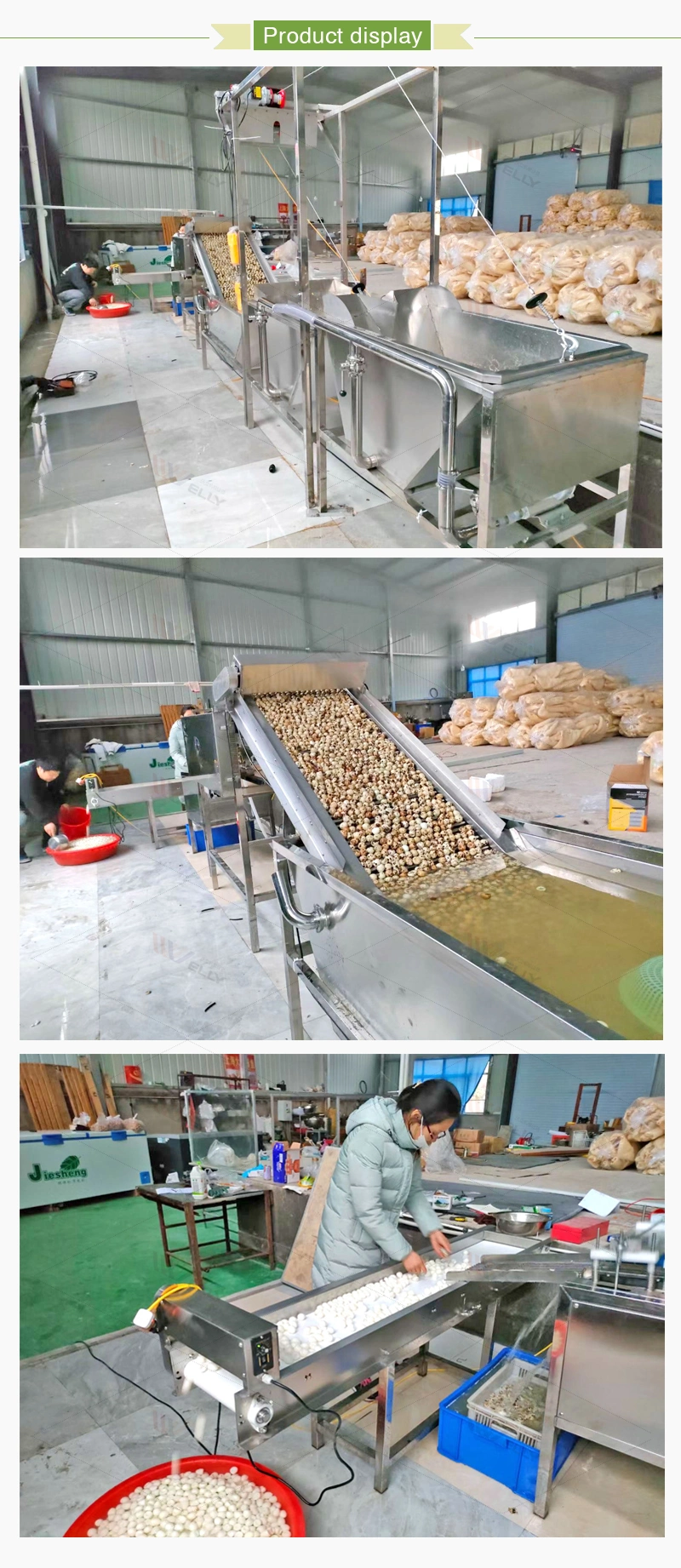 Large Scale Quail Egg Processing Line Boiled Quail Egg Peeler Line Quail Egg Boiling and Peeling Line