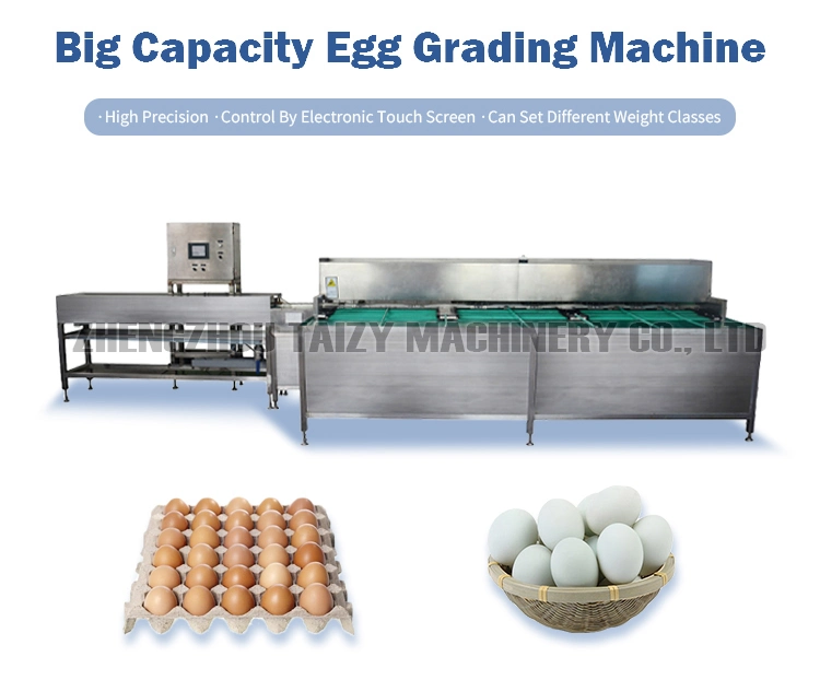 Egg Grading Machine Electric Egg Sorting Machine Egg Weight Grader for Chicken Eggs