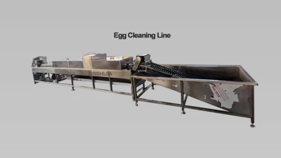 Big Capacity Commercial Stainless Steel Automatic Poultry Chicken Goose Salted Duck Egg Cleaner