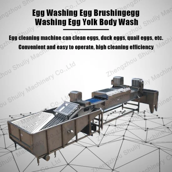 Industrial Chicken Egg Washing Cleaning Machine Sorting Production Line