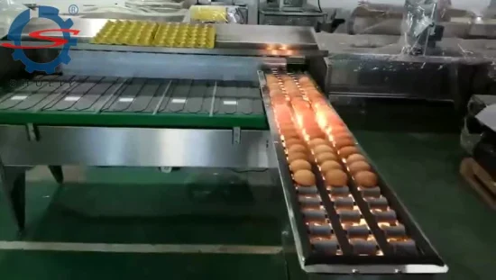 High Quality Egg Grader Egg Grading Machine Egg Sorting Machine