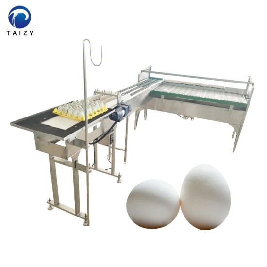 Egg Sorting Machinery Egg Grader Poultry Equipment Egg Grading Machine