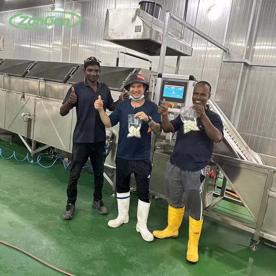 Automatic Quail Egg Peeler Quail Egg Peeling Shelling Machine for Boiled Quail Eggs