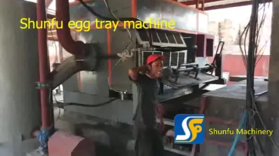 Paper Fruit Tray Making Machine/ Pulp Egg Tray Forming Machine with High Output