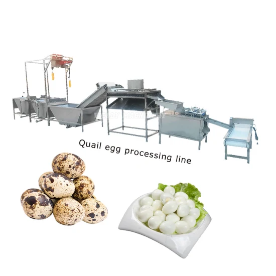 Durable Quail Egg Boiling and Peeling Production Line Automatic Quail Egg Production Line