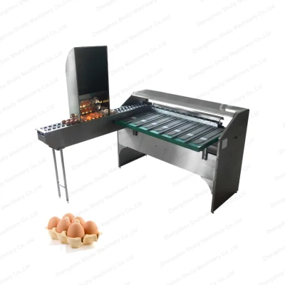 Stainless Steel Eggs Sorting and Candle Machine Goose Eggs Grading Machine