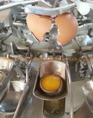 Fully-Automatic Egg Yolk Egg White Separator Machine, Egg Cracking Machine, Egg Breaker