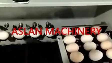 Good Quality Egg Grader with High Efficiency/Electric Egg Sorting Machine/New Type Egg Duck Egg Weight Grading Machine