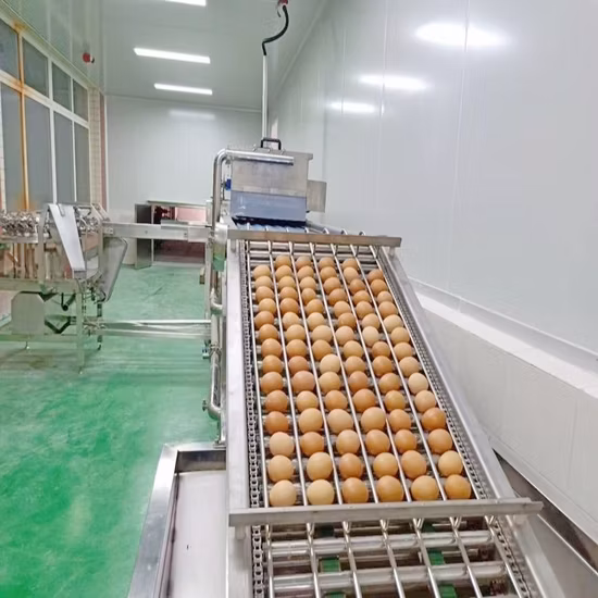 Small Egg Powder Processing Line