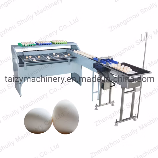 Egg Weighing Grading Machine