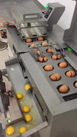 Hot Customized Production Line Machine Yolk Egg White and Liquid Separator