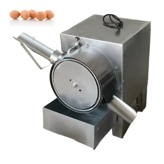 Stainless Steel Egg Washer Egg Cleaning Machine with High Quality