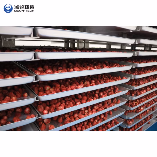 Tea Honey Egg Fruit Juice Coffee Milk Dehydrator Powder Drying Machine