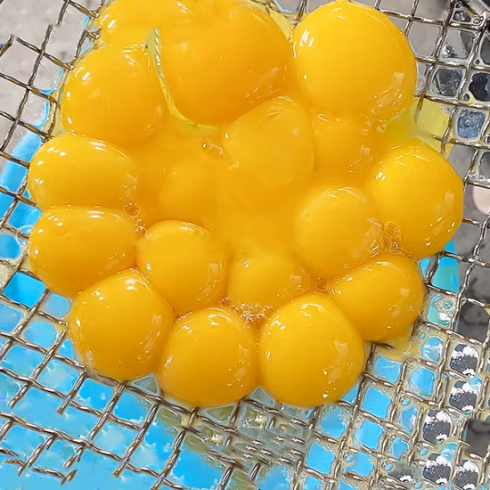 York separator Yolk Divider Drying Powder Automatic Liquid Processing Equipment Egg Breaking Machine Separator