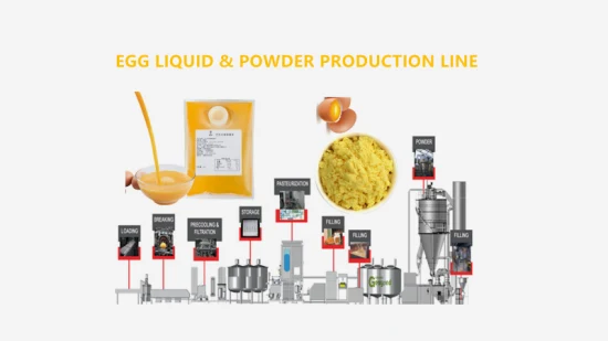 Small Egg Powder Processing Line