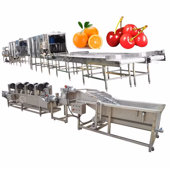 Fruit Processing Machine Vegetable Washing Drying Waxing Line
