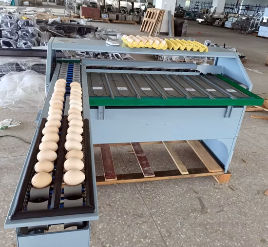 Industrial Automatic Egg Weighing Candling Sorter Grader Machine Egg Sorting Grading Machinery